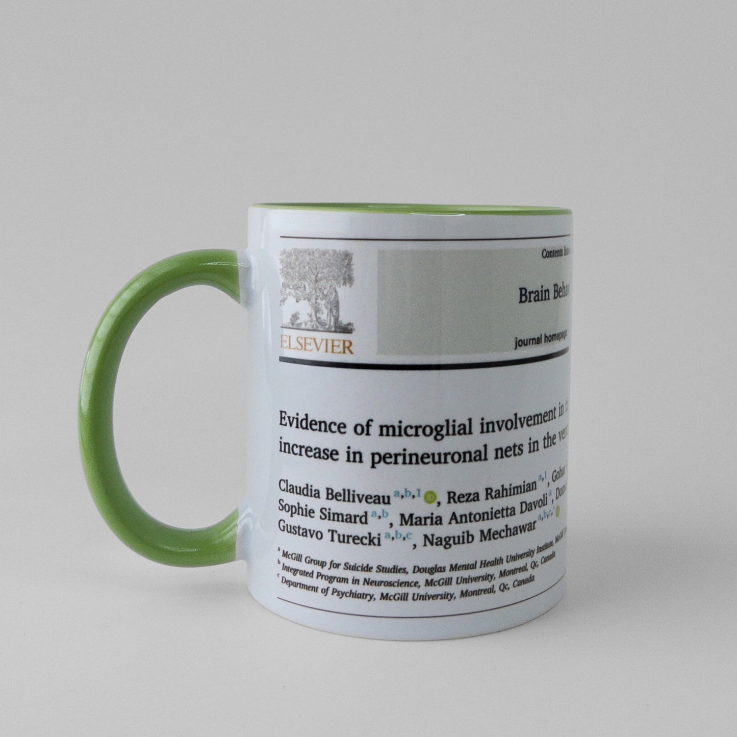 Celebrate your publication with a manuscript mug in light green