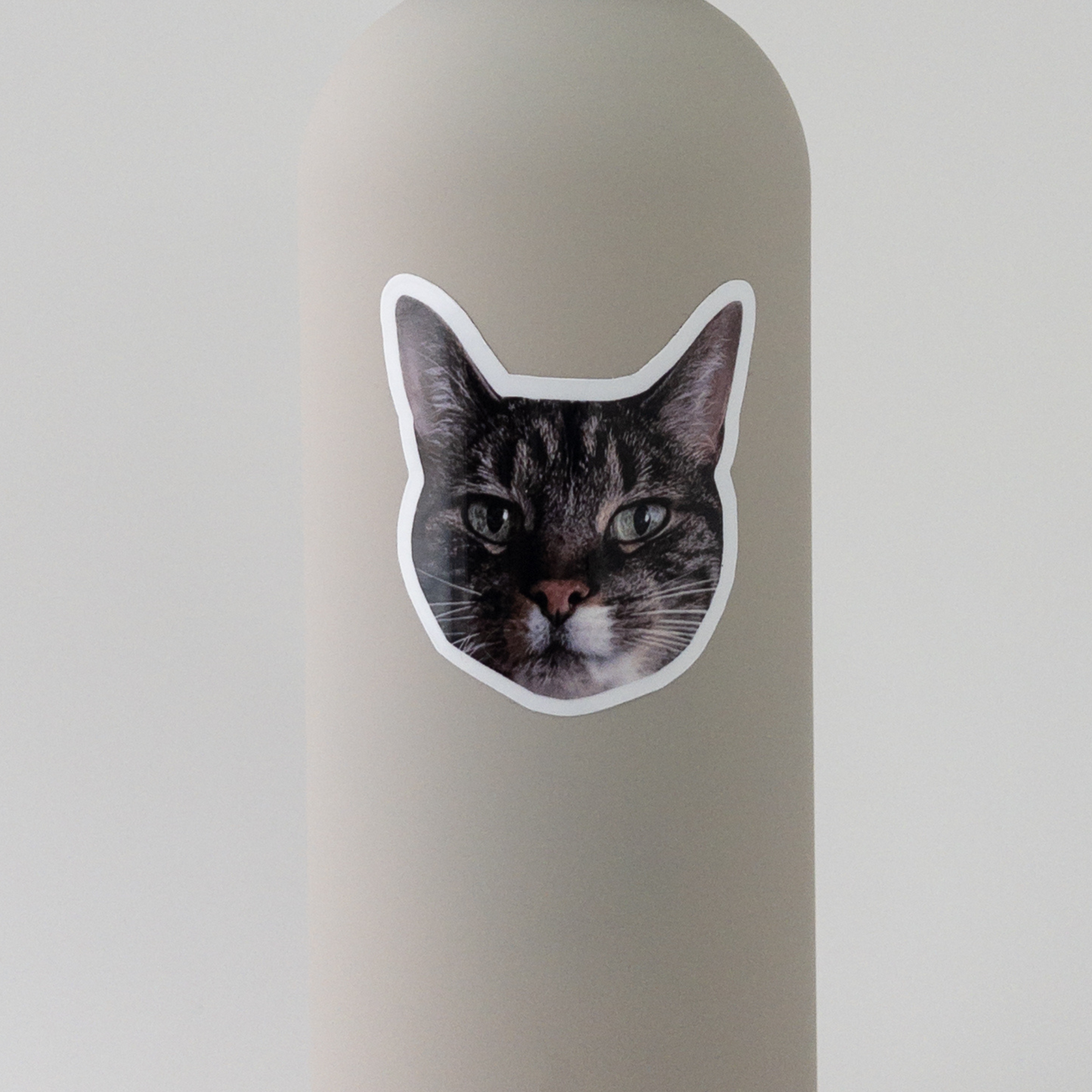 cute cat sticker on bottle