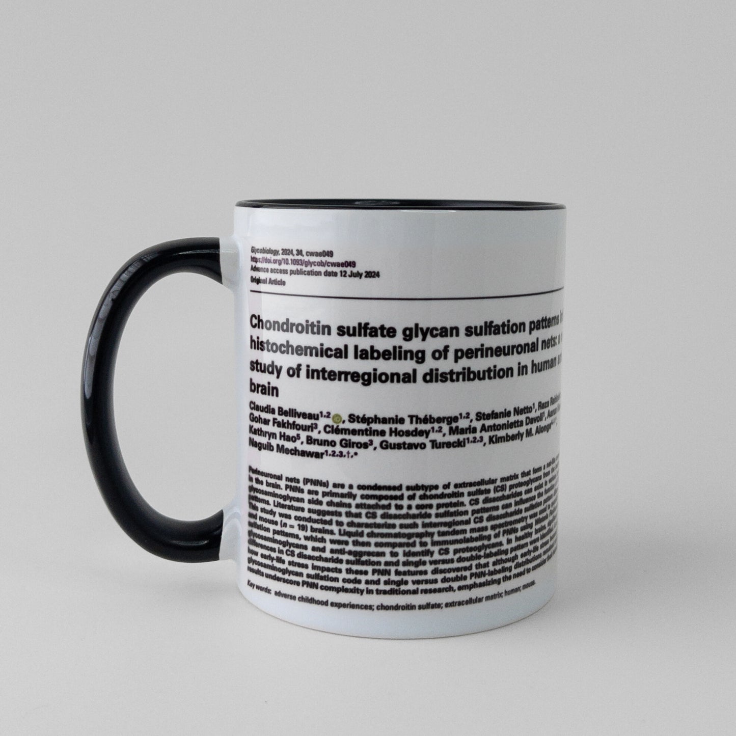 Celebrate your manuscript authorship with a publication mug in black