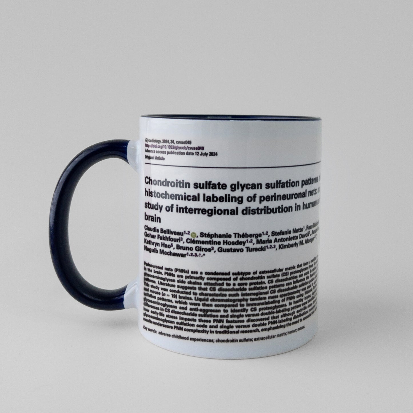 Celebrate your manuscript authorship with a publication mug in dark blue