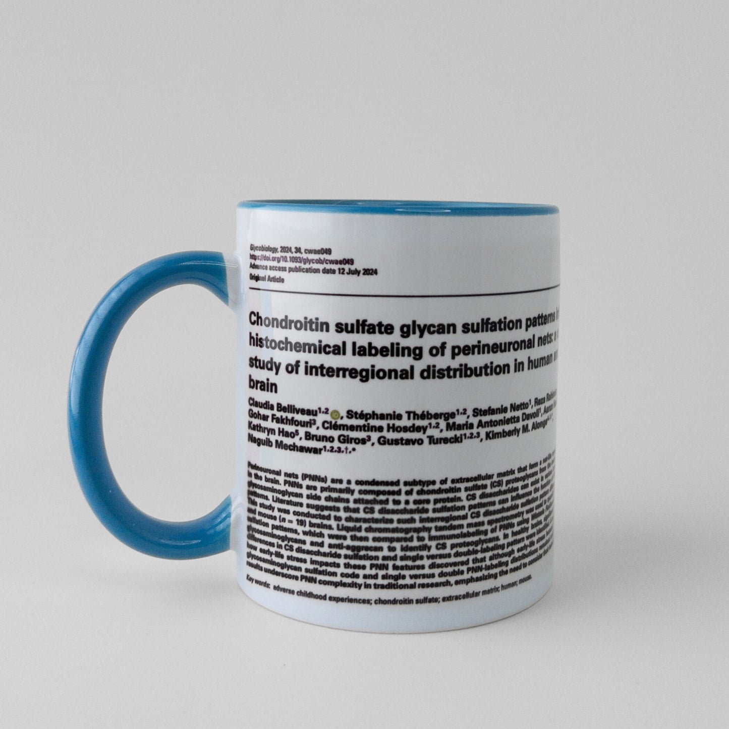 Celebrate your manuscript authorship with a publication mug in light blue