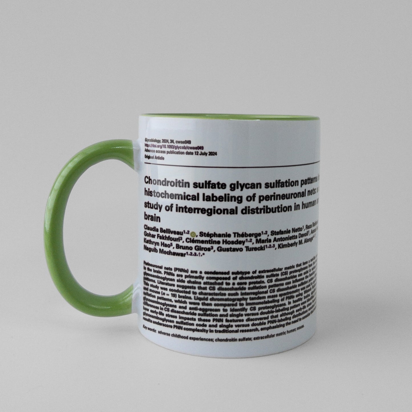 Celebrate your manuscript authorship with a publication mug in light green