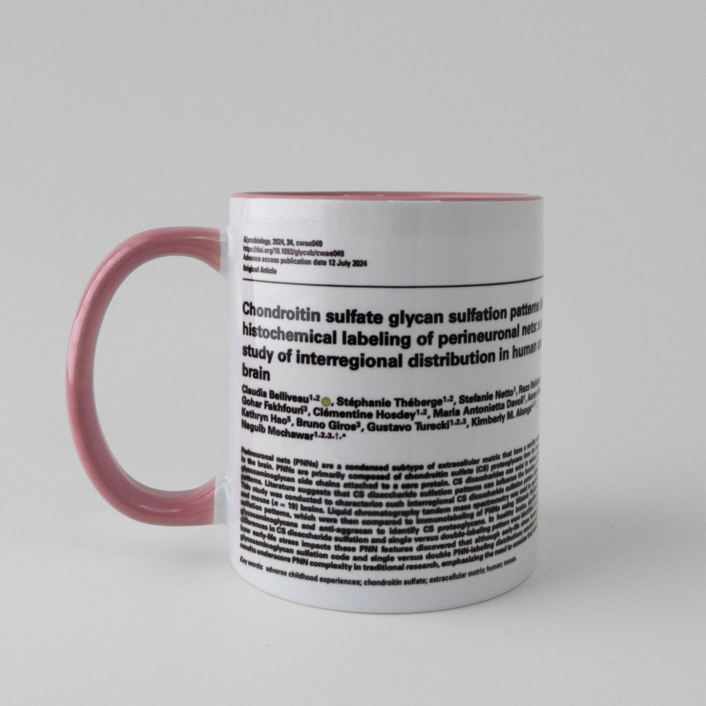 Celebrate your manuscript authorship with a publication mug in pink