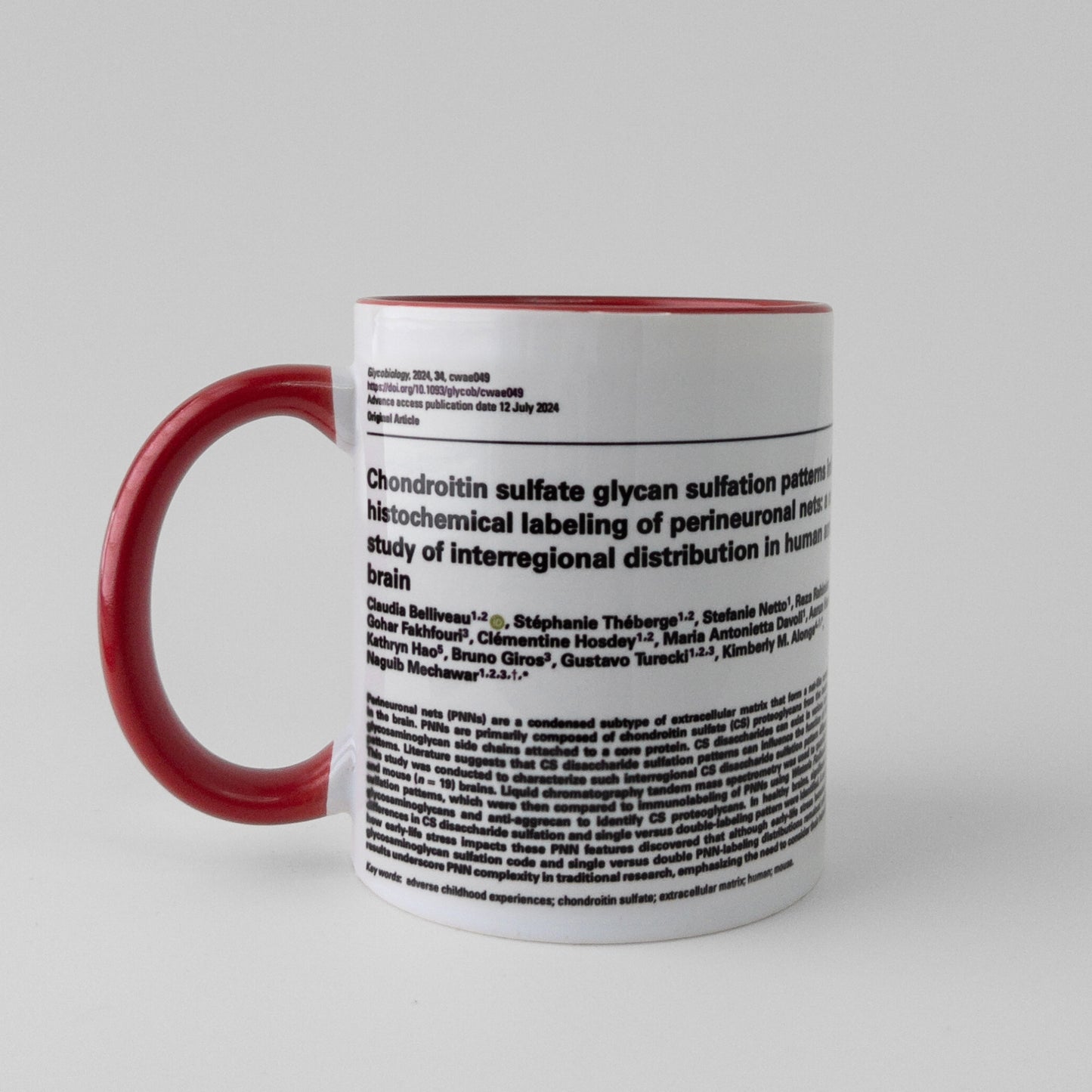 Celebrate your manuscript authorship with a publication mug in red