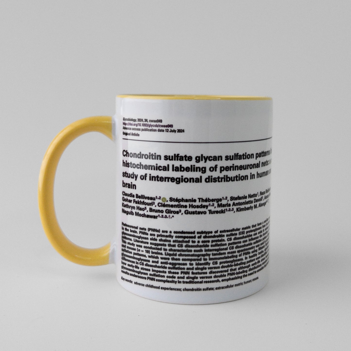 Celebrate your manuscript authorship with a publication mug in yellow