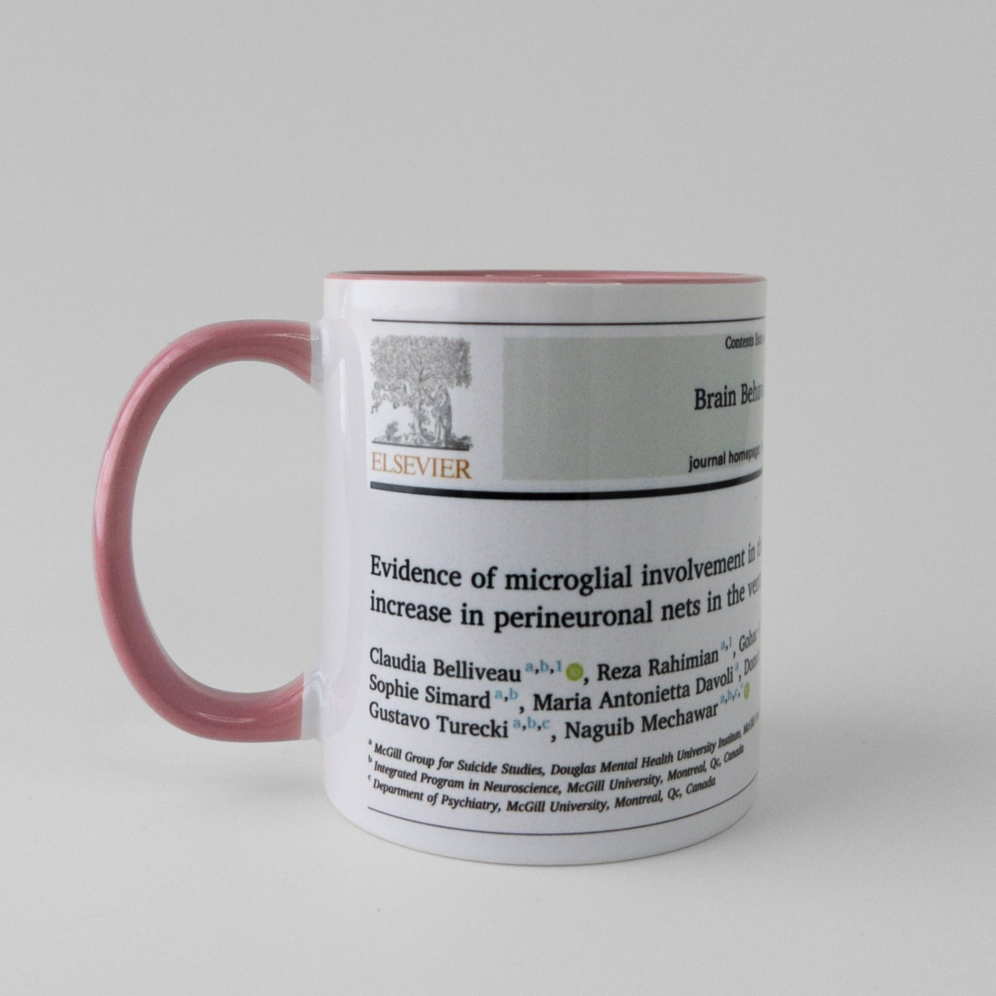 Celebrate your publication with a manuscript mug in pink