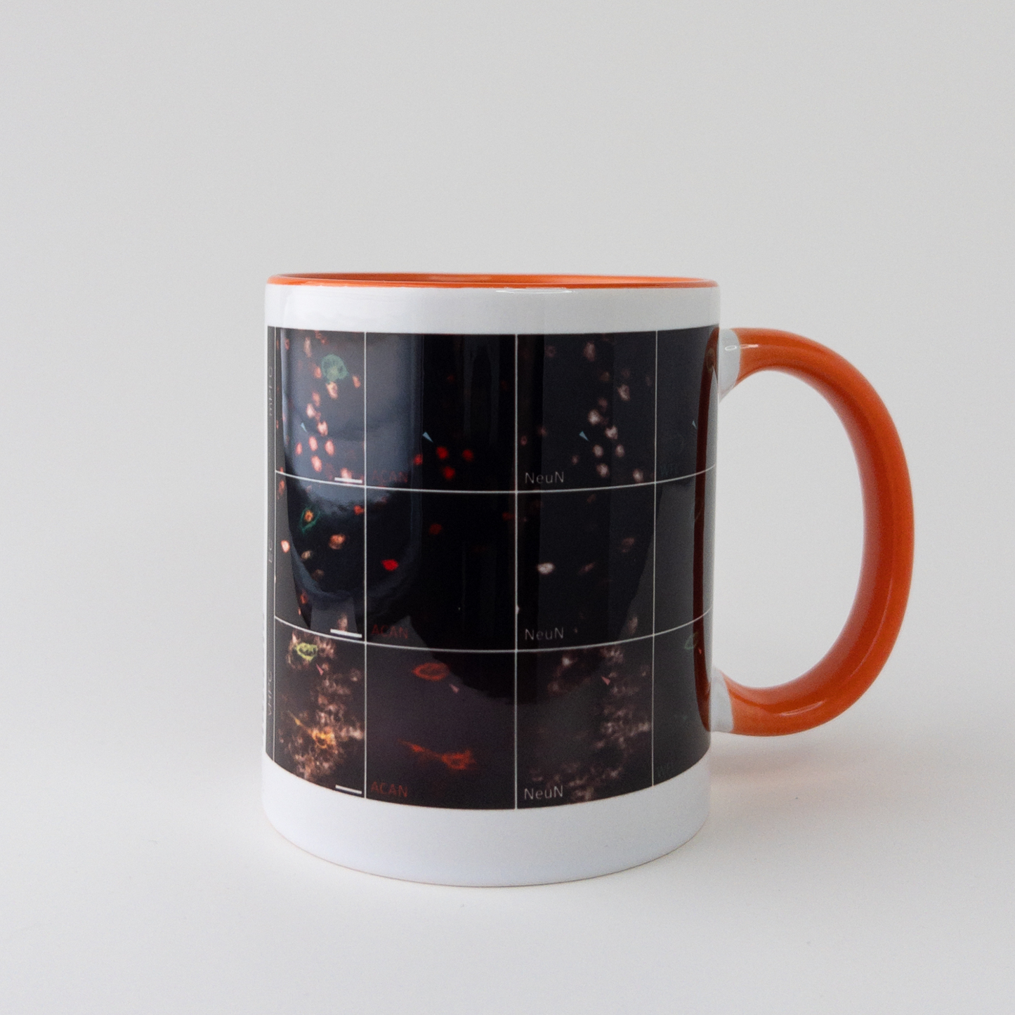 Full Manuscript Mug (Orange) displaying research paper title, abstract, and figure. Perfect for scientists commemorating peer-reviewed success. Back view.