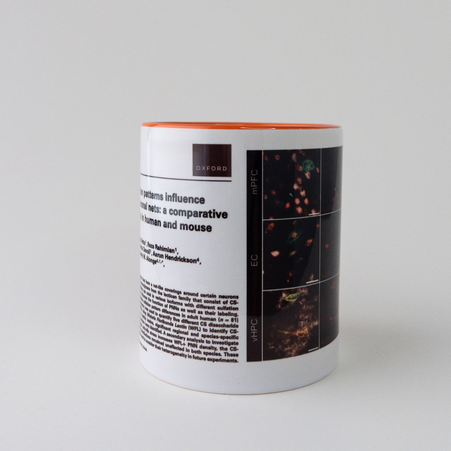 Full Manuscript Mug (orange) displaying research paper title, abstract, and figure. Perfect for scientists commemorating peer-reviewed success. Side view.