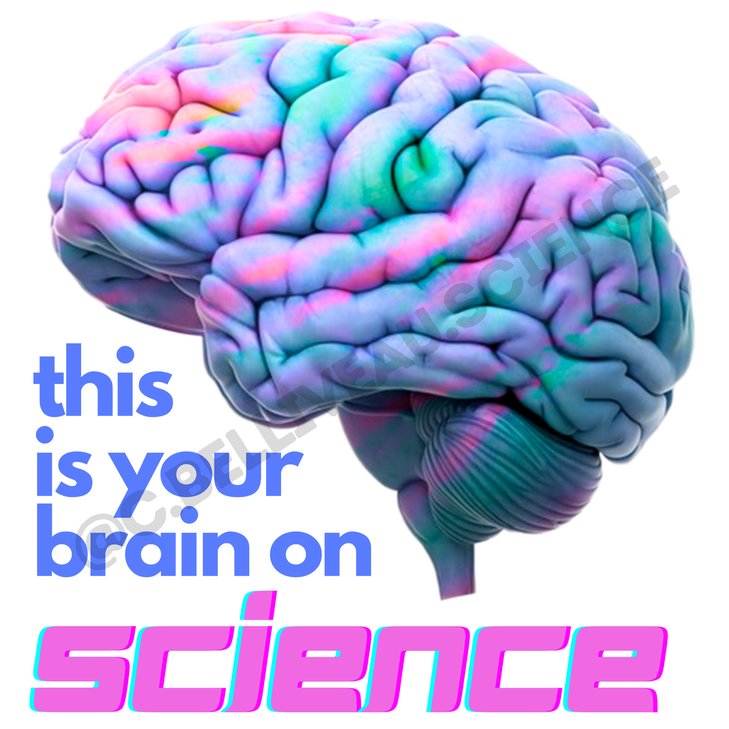 This is your brain on science vinyl sticker. Waterproof design for researchers and grad students celebrating academic milestones.