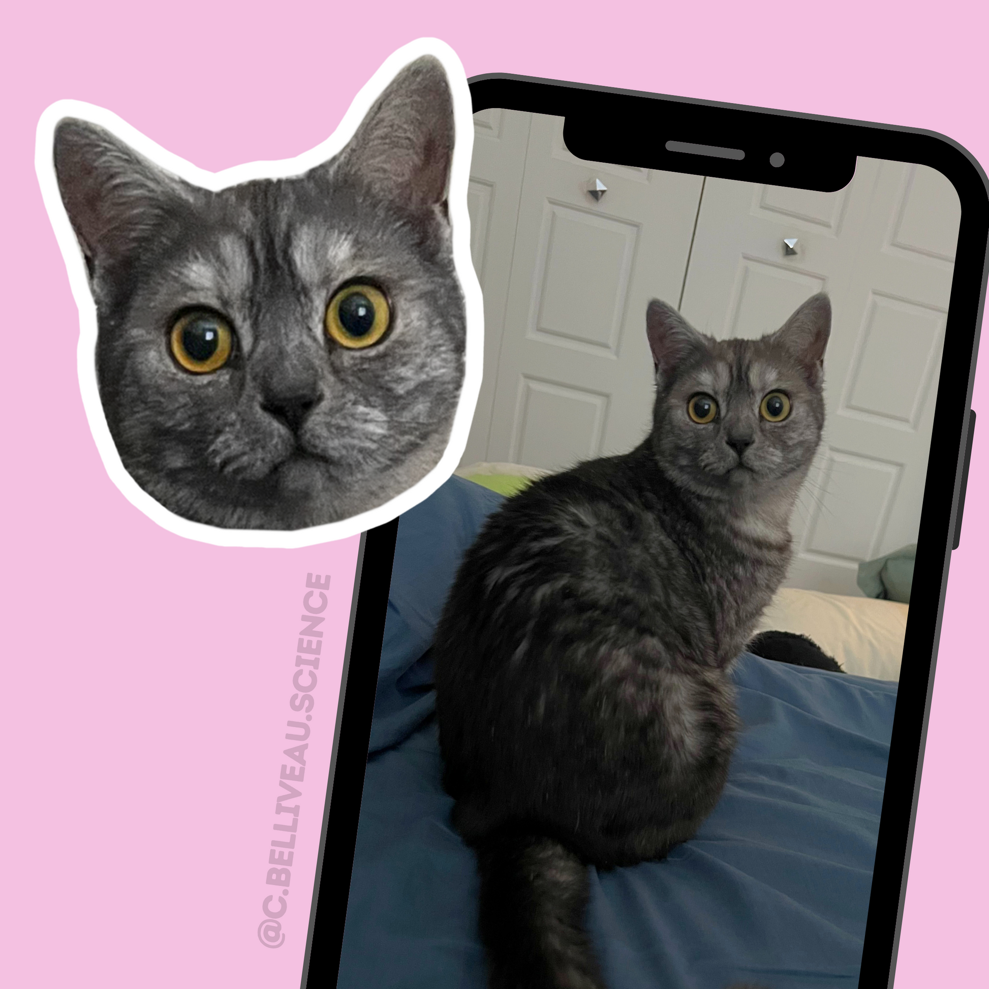Custom pet sticker for cat or dog lovers