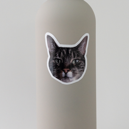 cute cat sticker on bottle