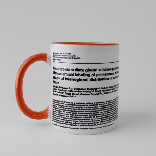 Celebrate your manuscript authorship with a publication mug in orange