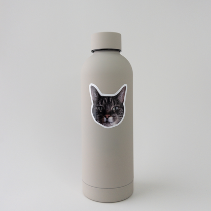 Custom Dog or Cat Sticker from your pet’s photo. Waterproof and durable for laptops, ideal for pet-loving researchers.