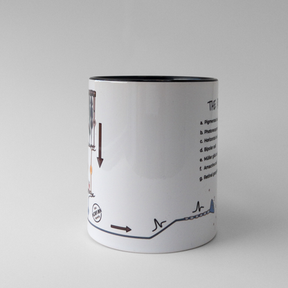 Retina Mug - The Neuron Family - 11 oz