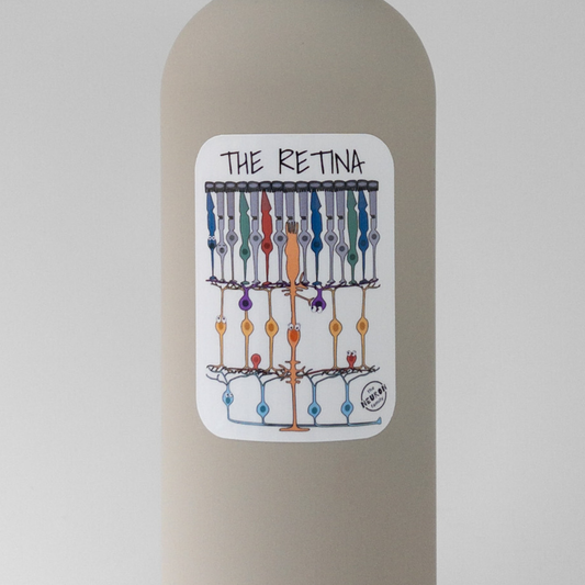 Retina Vinyl Sticker - The Neuron Family
